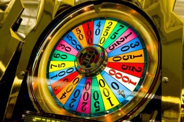 mafiajudi platform interface showing live casino tables and sportsbook markets on mobile and desktop